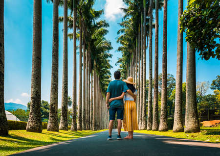 149533717 couple visiting palm alley at royal botanical gardens in kandy sri lanka asian tropical landscape